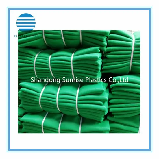 Safety Net/Construction Net/Building Net/PE Net/Plastic Net 
