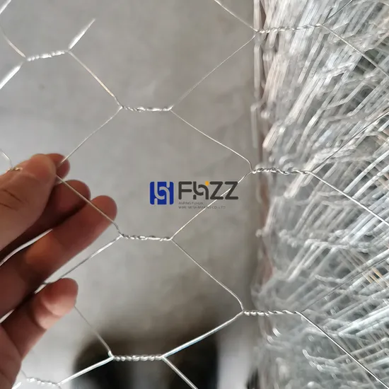 Galvanized Hexagonal Shape Poultry Netting for Chickens and Rabbits Farming Fence 