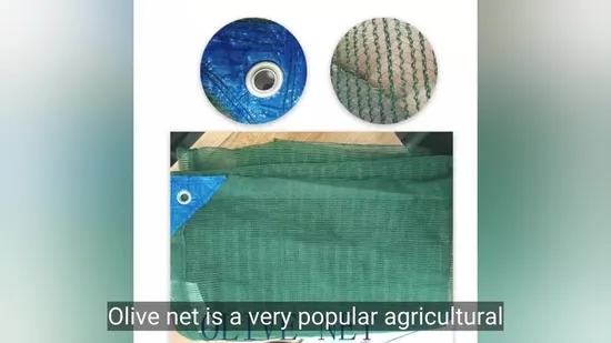 Strong Olive Fence Netting for Enhanced Orchard Protection HDPE Harvesting Net 