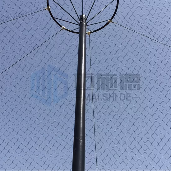Building Decorative Stainless Steel Facades Wire Rope Mesh Net
