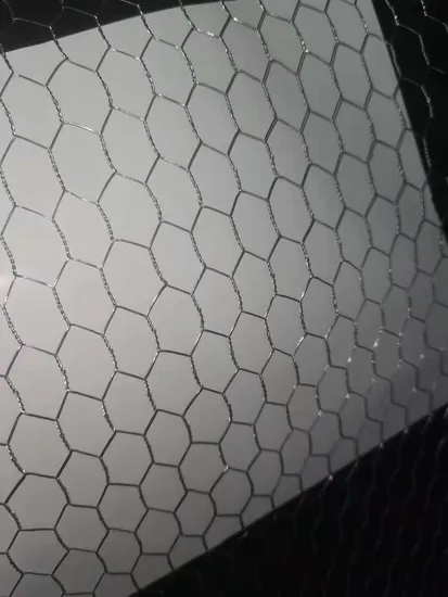 PVC Coated Hexagonal Wire Netting for Fishing Poultry Fence Cage 