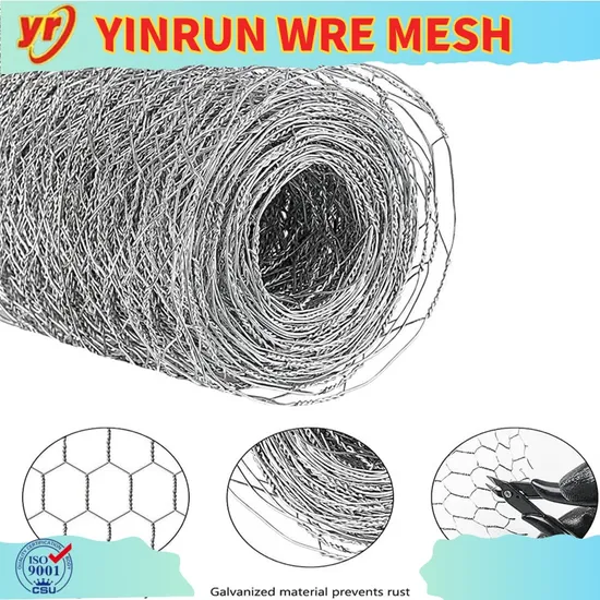 Galvanized Hexagonal Chicken Netting for Secure and Strong Fencing Needs 
