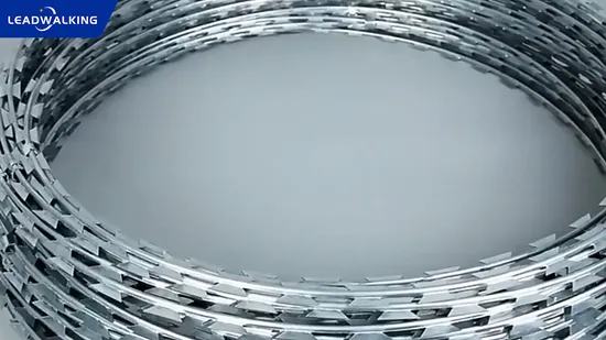 Leadwalking PVC Coated/Hot Dipped Galvanized Steel Cbt65 Concertina Razor Blade Wire Fence 450mm Razor Wire Coil with Loops/Fence Panel/Valla/Chain Link Fence 
