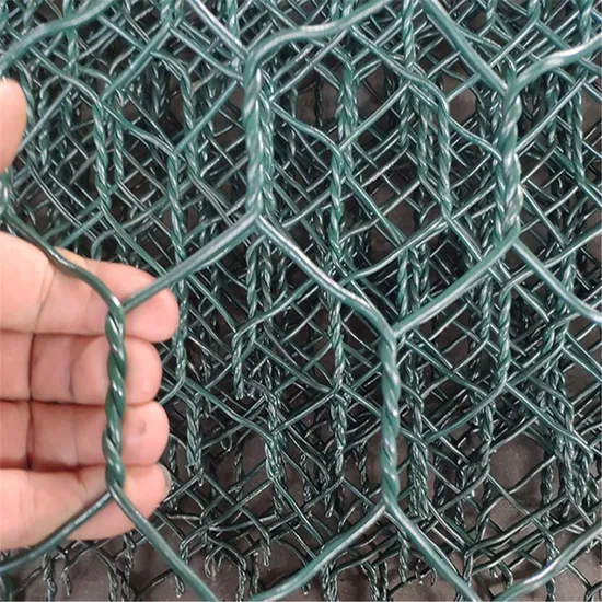 Flood Prevention PVC Coated Hot DIP Galvanized Steel Skeleton Stone Cage Net 