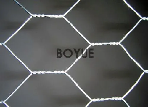 Boyue Hexagonal Wire Netting (Chicken/Rabbit/Poultry Wire) Used as Fence for Poultry Cage, Fishing, Garden 
