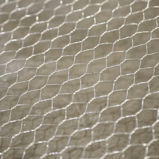 Factory Good Quality Wholesale Hexagonal Mesh Fence Chicken Wire/Chicken Wire Netting/Rabbit Wire Netting 